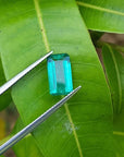 2.47 carat GIA certified loose Colombian emerald, sparkling bluish-green, held by tweezers on a green leaf.