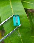 2.47 carat GIA certified loose Colombian emerald, sparkling bluish-green, held by tweezers on a green leaf.