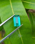 2.47 carat GIA certified loose Colombian emerald, sparkling bluish-green, held by tweezers on a green leaf.