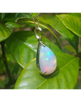 Opal pendant on a gold chain against a green leafy background.