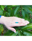 3.13 carat baguette cut Colombian emerald, eye-clean, sparkling bluish-green, on a hand against green leaves.