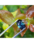 3.04 ct. Natural Australian Loose Sapphire Oval cut Sparkling Deep Blue for Sale in USA