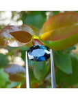 3.04 ct. natural Australian deep blue oval cut loose sapphire held by tweezers.