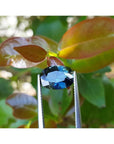 3.04 ct. natural Australian deep blue oval cut loose sapphire held by tweezers.