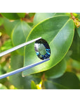 3.04 ct natural Australian deep blue-green oval sapphire held by tweezers against green leaves.
