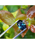 3.04 ct natural Australian deep blue greenish oval cut loose sapphire held by tweezers.