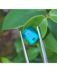 GIA certified untreated 3.98 ct Muzo emerald, vibrant bluish-green, held by tweezers against green leaves.