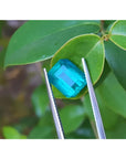 GIA certified untreated 3.98 ct Muzo emerald, vibrant bluish-green, held by tweezers against green leaves.
