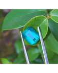 GIA certified untreated 3.98 ct Muzo emerald, vibrant bluish-green, held by tweezers against green leaves.