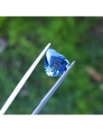 Vibrant medium blue pear-shaped natural sapphire gemstone held by tweezers against green foliage.