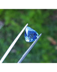 Vibrant medium blue pear-shaped natural sapphire gemstone held by tweezers against green foliage.