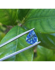 3.30 ct. Pear shaped loose blue sapphire natural gemstone, held by tweezers against a green leafy background