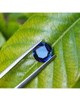 2.39 ct. loose round natural blue sapphire from Sri Lanka held by tweezers on a green leaf.