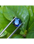 2.39 ct. loose round cut natural deep blue sapphire from Sri Lanka, held by tweezers over green leaves.