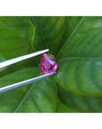 Sparkling 1.09 carat natural Burmese ruby, pear shape, held by tweezers against green leaves.