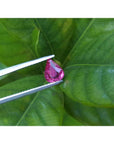 Sparkling 1.09 carat natural Burmese ruby, pear shape, held by tweezers against green leaves.