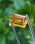 Loose natural sapphire emerald-cut Intense yellow hue, held by tweezers against a blurred green background