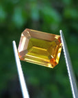 Loose natural sapphire emerald-cut Intense yellow hue, held between tweezers with a blurred green background