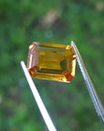 Loose natural sapphire emerald-cut Intense yellow hue, held by tweezers against a blurred green background