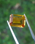 4.05 ct. intense yellow emerald-cut natural sapphire gemstone held by tweezers.