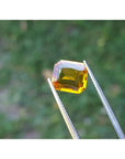 Loose natural sapphire yellow madeira color emerald cut, held by tweezers against a blurred green background