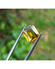 Loose natural sapphire yellow madeira color emerald cut, held between tweezers with a blurred green background