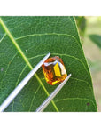 2.96 ct. loose natural yellow Madeira sapphire, radiant cut, held by tweezers on a green leaf.
