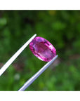 Loose natural pink sapphire oval cut from Sri Lanka, held by tweezers against a blurred green background