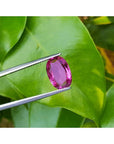 3.51 ct. loose natural pink sapphire, oval cut, held by tweezers against green leaves.