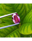 3.51 ct. natural pink sapphire, oval cut, held by tweezers against green leaves.