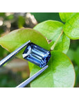 3.90 ct. untreated GIA certified sapphire, rectangular emerald-cut, blue changing to purple, held by tweezers on green leaves.