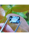 3.90 ct. untreated GIA Certified loose Sapphire Blue Changing to Purple held by tweezers on a green leves