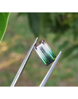 A watermelon tourmaline being held by tweezers on a green blurry background.