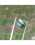 3.20 ct. loose Brazilian watermelon tourmaline, strong green with soft pink, held by tweezers.