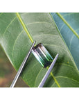 Tweezer holding a watermelon tourmaline on a green leaf.