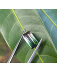 3.20 ct. loose Brazilian watermelon tourmaline gemstone, green to pink, held by tweezers on a leaf.