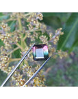 7.75 ct. emerald-cut Brazilian watermelon tourmaline gemstone with vibrant red-orange and bluish-green hues.