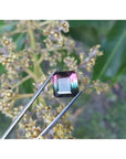 7.75 ct. emerald-cut Brazilian watermelon tourmaline gemstone with vibrant red-orange and bluish-green hues.