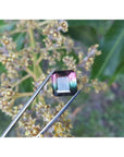 7.75 ct. emerald-cut Brazilian watermelon tourmaline gemstone with vibrant red-orange and bluish-green hues.