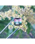 Multicolored gemstone held by tweezers with a natural background of green leaves and yellow flowers.