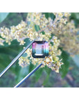 Emerald-cut Brazilian watermelon tourmaline gemstone with vibrant red-orange and deep bluish-green hues.