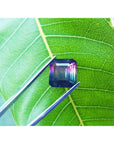 Genuine watermelon tourmaline held by tweezers on a green leaf.