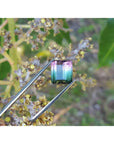 Faceted tourmaline held by tweezers with a natural background of green leaves and flowers.
