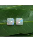 Pair of 5.45 ct. solid Australian square-cut loose opals with multicolor flash, on green leaves.