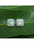 Pair of 5.45 ct. solid Australian square-cut loose opals with multicolor flash, on green leaves.