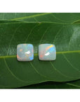 Pair of 5.45 ct. solid Australian square-cut loose opals with multicolor flash, on green leaves.