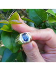 Gold ring with a blue sapphire gemstone held between fingers against a green leafy background