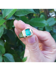 Hand holding a ring with natural emerald and diamonds accent against a green leafy background.