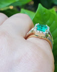 Emerald ring on a finger with a green leafy background.