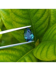 3.22 ct. loose Australian blue sapphire, pear-shaped, deep blue-green, held by tweezers against green leaves.